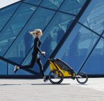 Remolques Bicicleta - Imagen 2