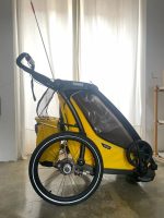 Remolques Bicicleta - Imagen 9