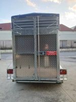 Remolque para Caballos y Ganado - Imagen 6
