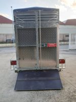 Remolque para Caballos y Ganado - Imagen 8