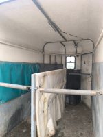 Remolque para Caballos y Ganado - Imagen 3