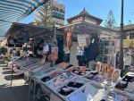 Remolque Venta Ambulante o FoodTruck - Imagen 9