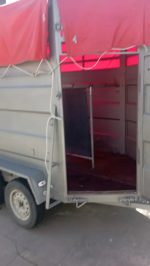 Remolque para Caballos y Ganado - Imagen 5