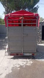Remolque para Caballos y Ganado - Imagen 6