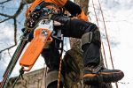 Potente motosierra de poda con 1,8 kW para profesionales - Imagen 2