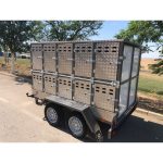 Remolque para Perros y La caza - Imagen 7